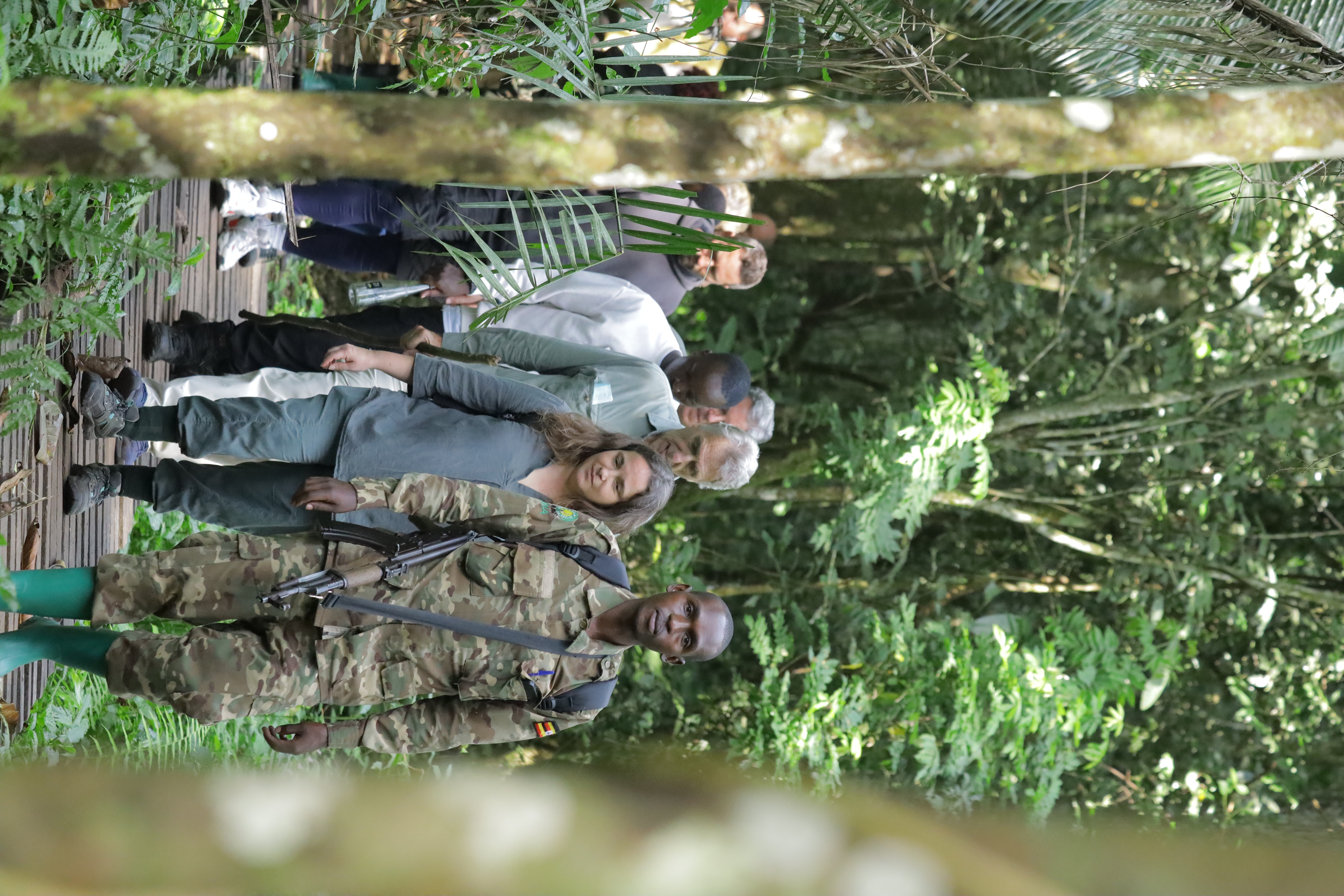 Go Gorilla Trekking